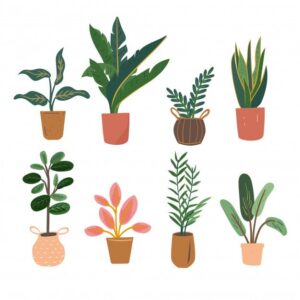 All Plants