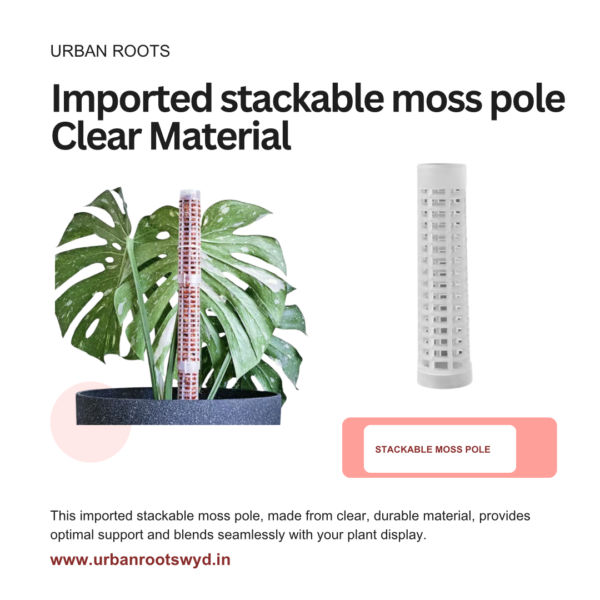 Imported Stackable Aroid Pole with Free Coir