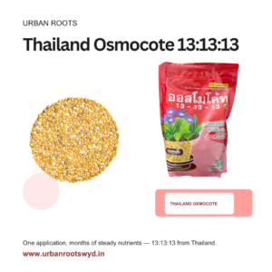 Thailand Osmocote