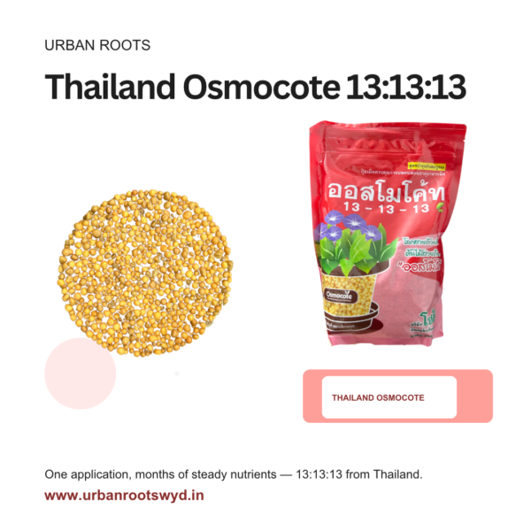 Thailand Osmocote