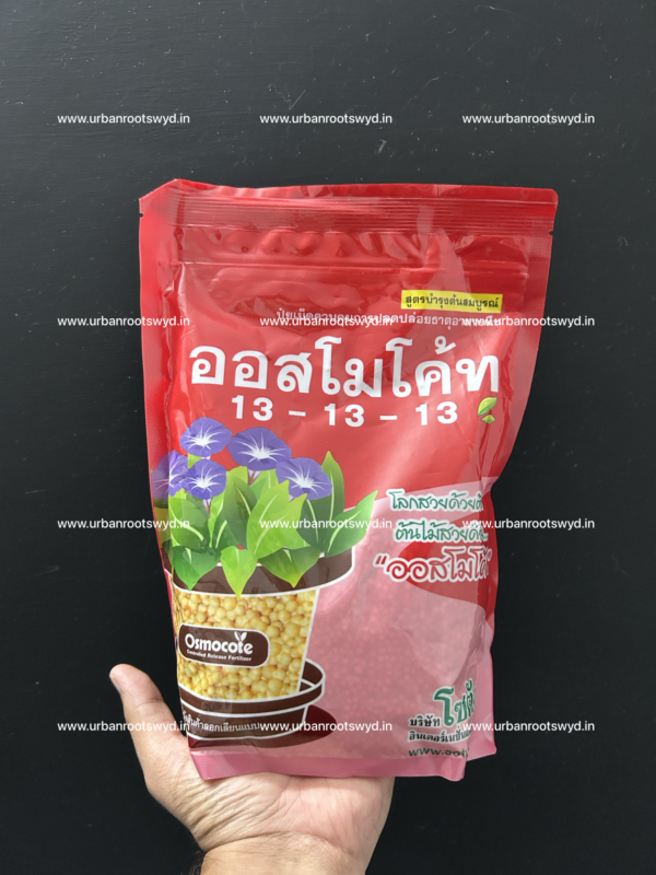 Thailand Osmocote - Image 2